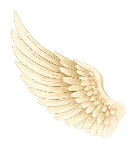 Wing